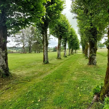 Semesterbostad D'exception Avec Piscine Chauffee Pour 12 Personnes - Cantal